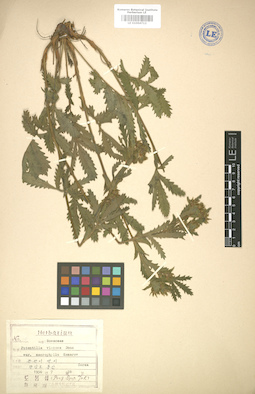 LE 01004712