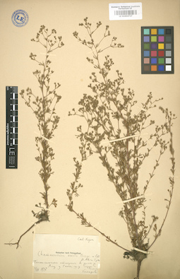 LE 01004727