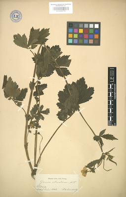 LE 01004730