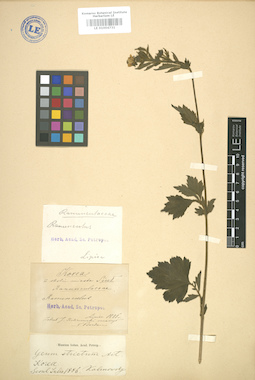 LE 01004731