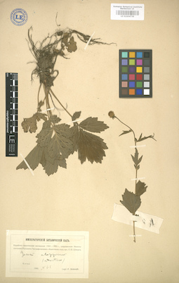 LE 01004739