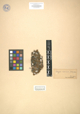 LE 01004740