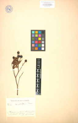 LE 01004747