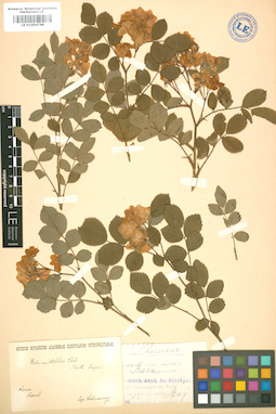 LE 01004748