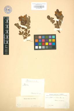 LE 01004749