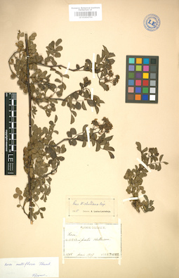 LE 01004754