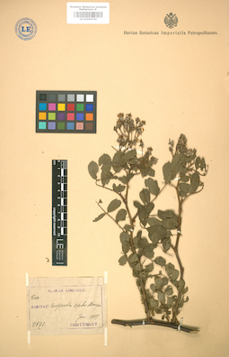 LE 01004756