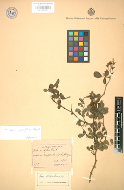 LE 01004757