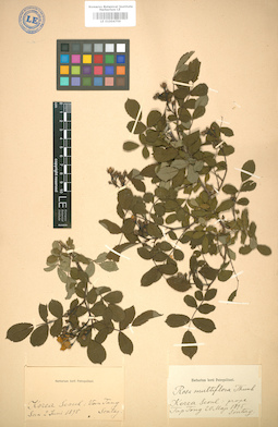 LE 01004759