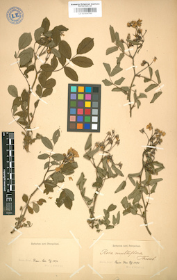 LE 01004760
