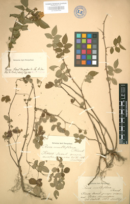 LE 01004764