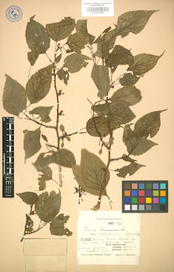 LE 01004780