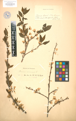 LE 01004783