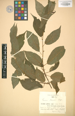 LE 01004790