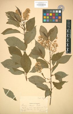 LE 01004791