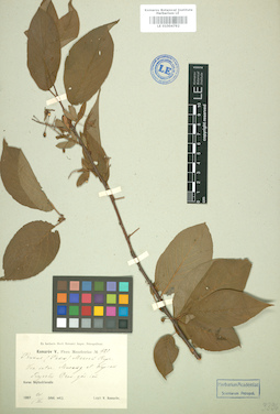 LE 01004792