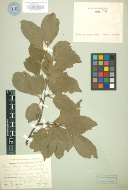 LE 01004798