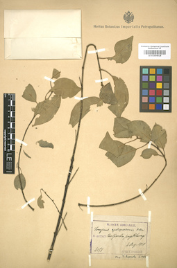 LE 01004818