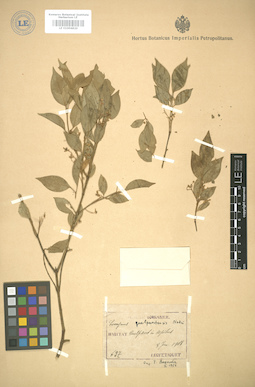 LE 01004820