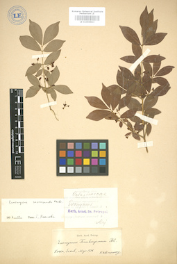LE 01004823