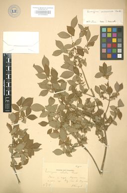 LE 01004824