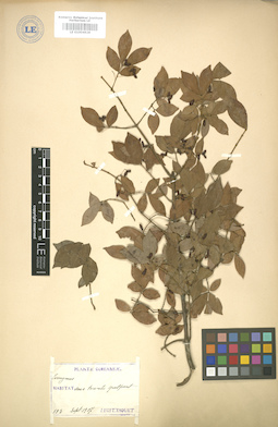 LE 01004828