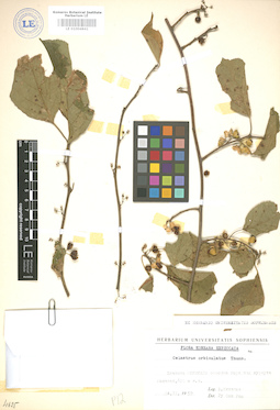 LE 01004841