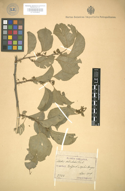 LE 01004842