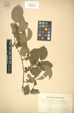 LE 01004844