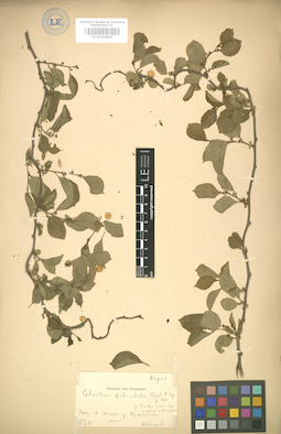 LE 01004846