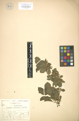 LE 01004847
