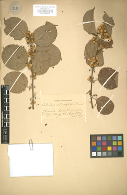 LE 01004848