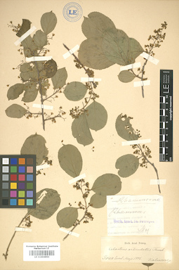 LE 01004850