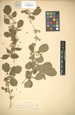 LE 01004851
