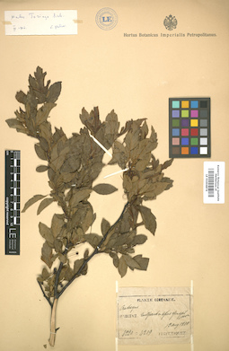 LE 01004874