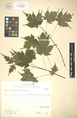 LE 01004878