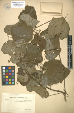 LE 01004879