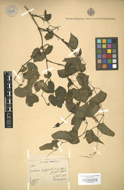 LE 01004893