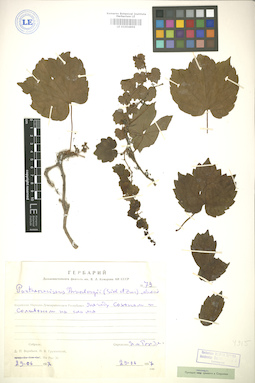 LE 01004896