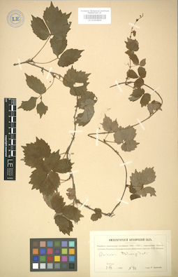 LE 01004899