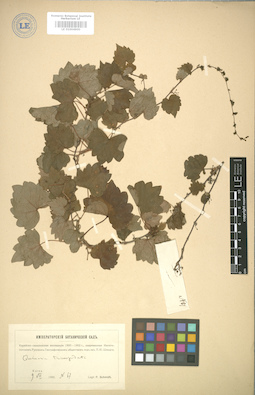 LE 01004900