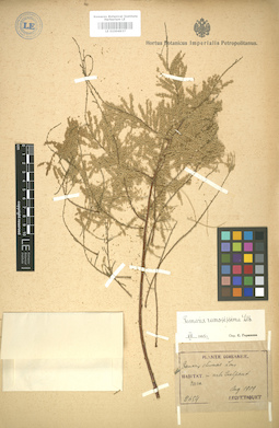 LE 01004937