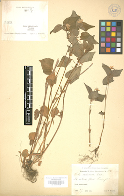 LE 01004938