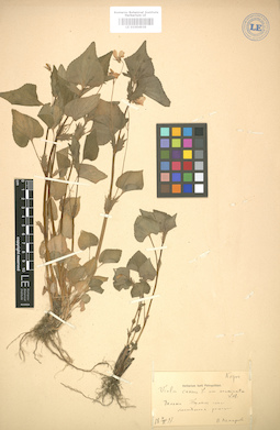 LE 01004939