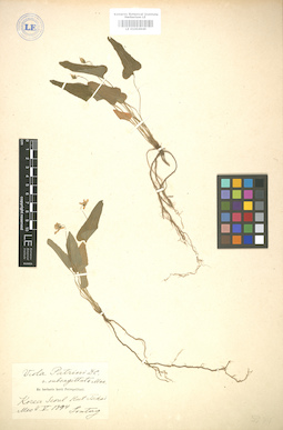 LE 01004949