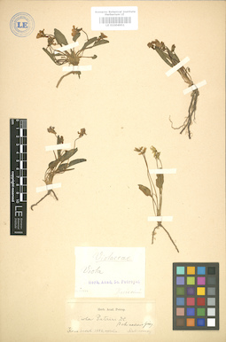 LE 01004951