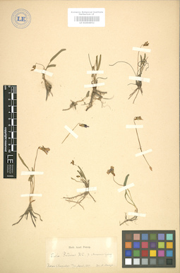 LE 01004952