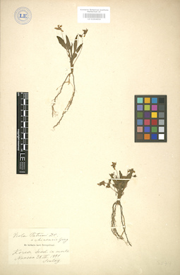 LE 01004956
