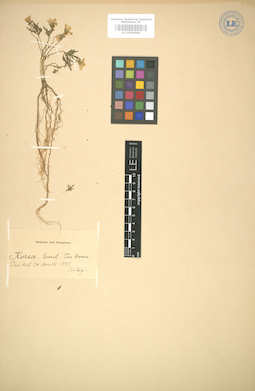 LE 01004980