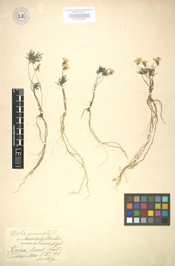 LE 01004987
